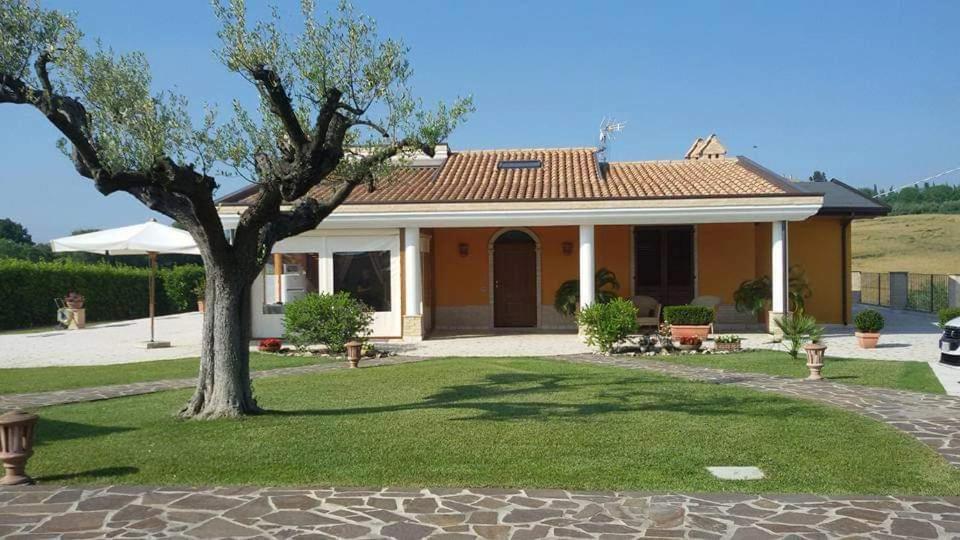B&B Agrifoglio SantʼElpidio a Mare Buitenkant foto