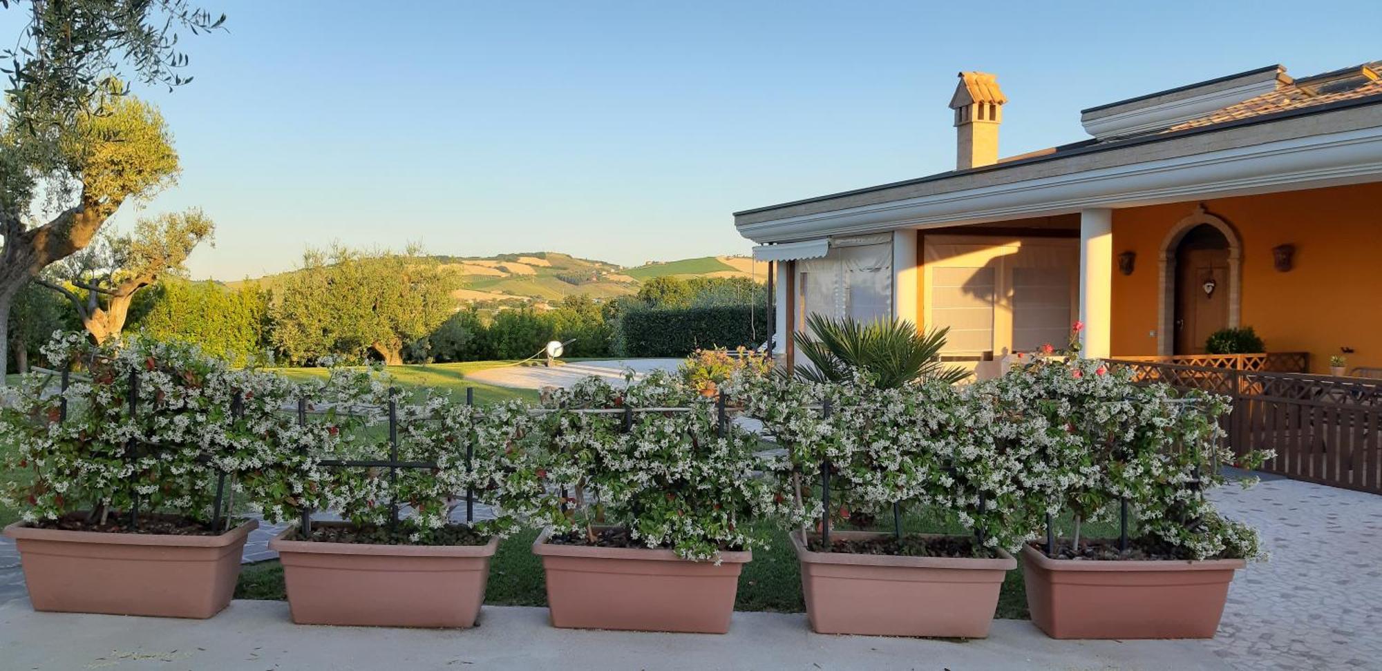 B&B Agrifoglio SantʼElpidio a Mare Buitenkant foto